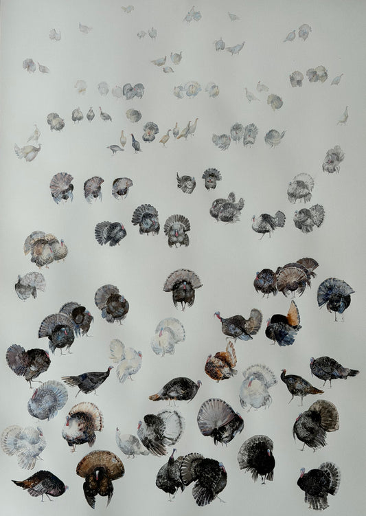 Turkeys. Between Memory and Presence.