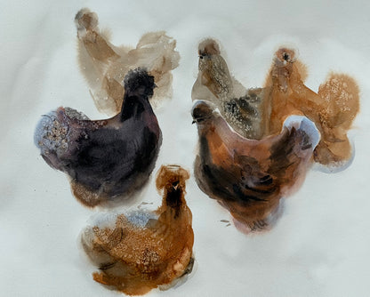 Six Silkie Chickens