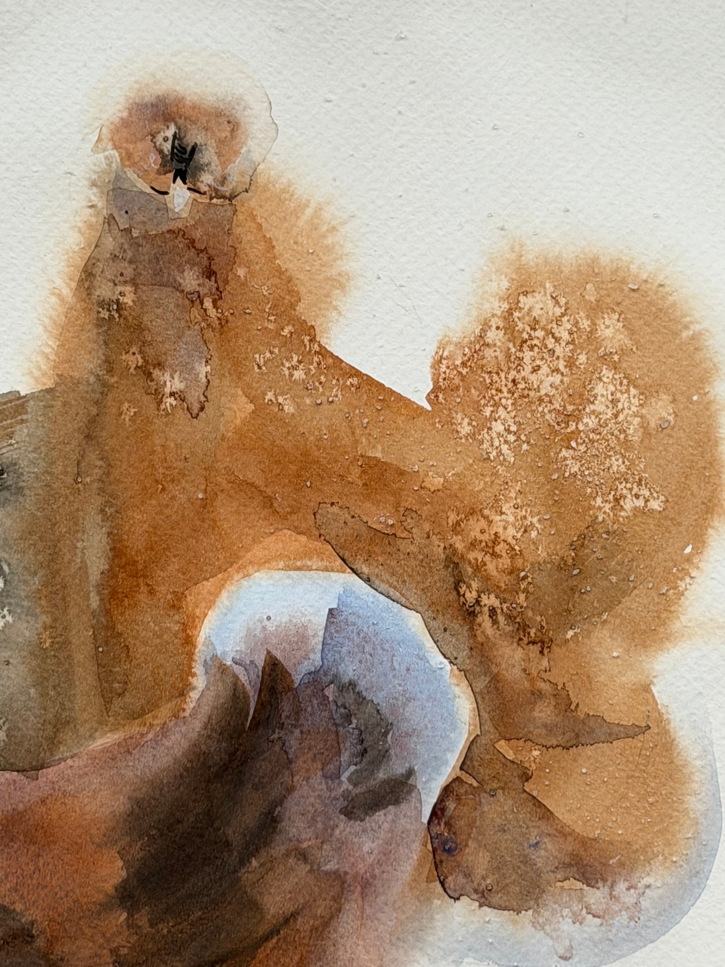 Six Silkie Chickens