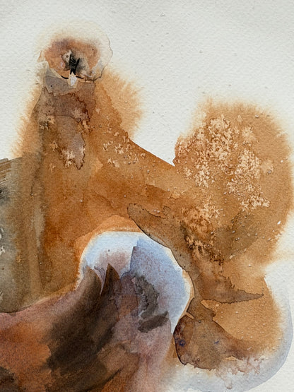 Six Silkie Chickens