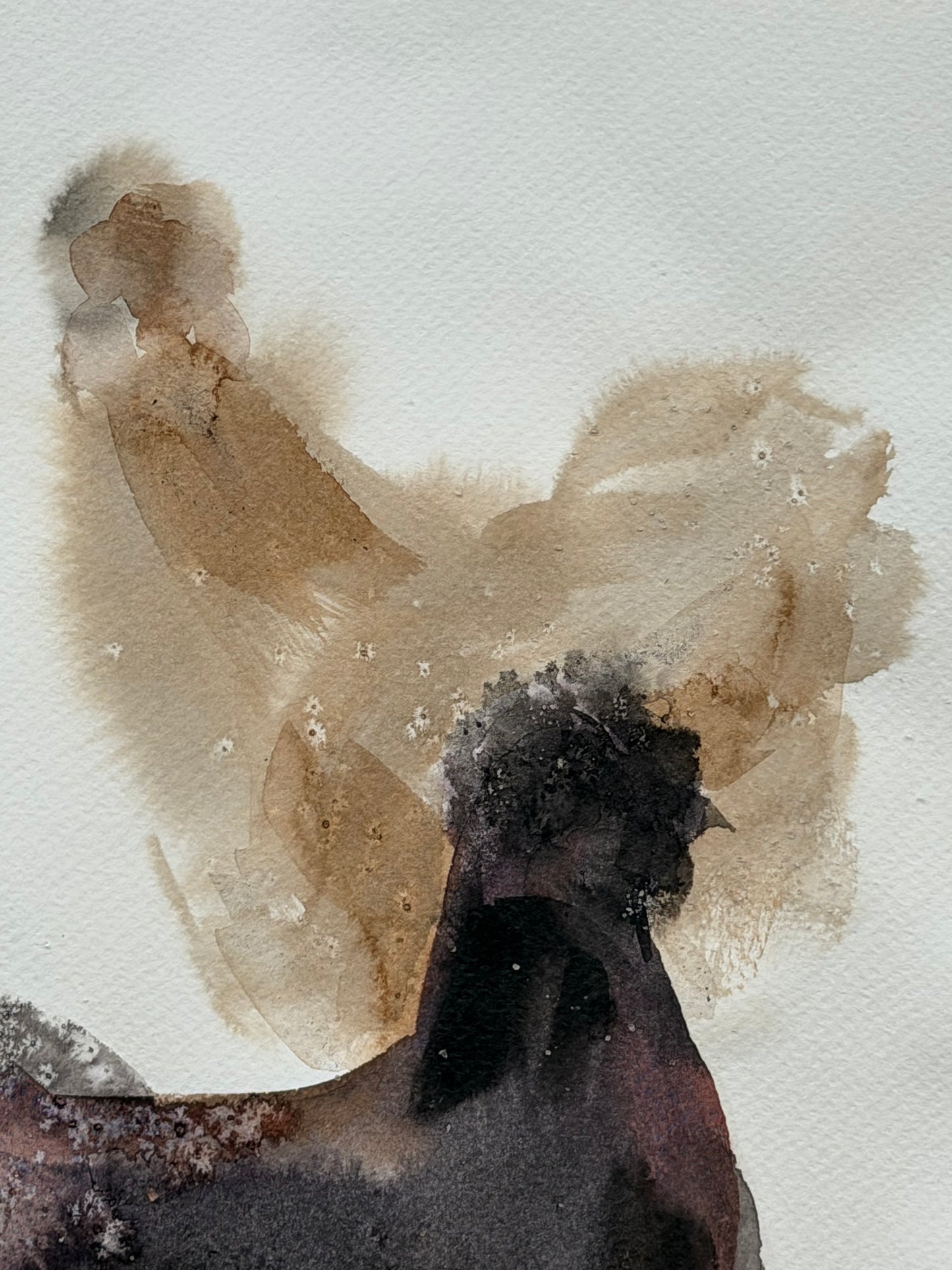 Six Silkie Chickens