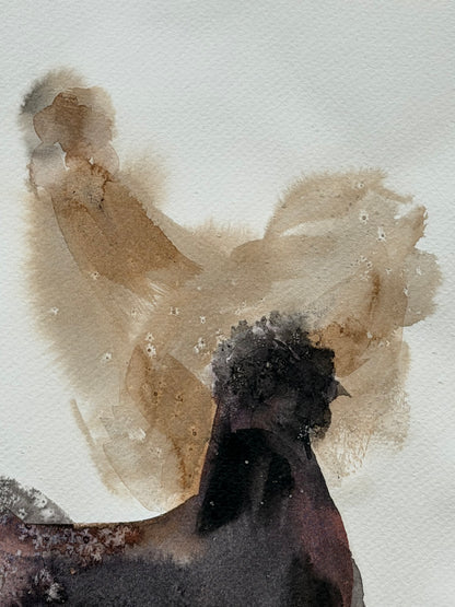 Six Silkie Chickens