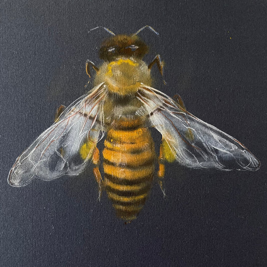 A Honey Bee's Dance on Midnight Canvas