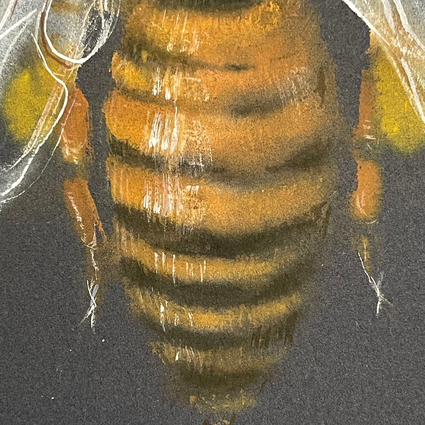A Honey Bee's Dance on Midnight Canvas