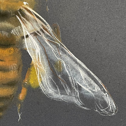 A Honey Bee's Dance on Midnight Canvas