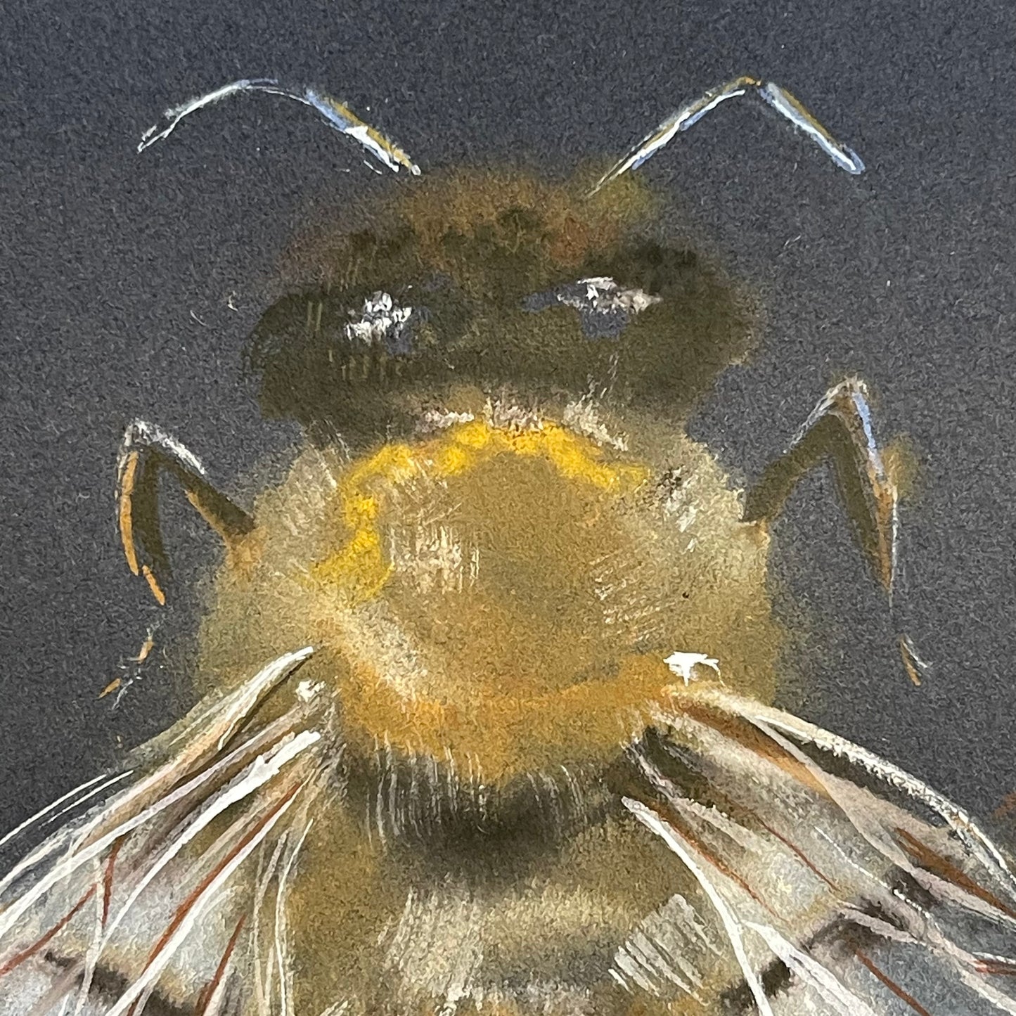 A Honey Bee's Dance on Midnight Canvas