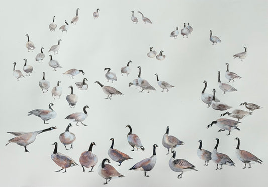 Geese of the North – Original Watercolour & Ink on Paper