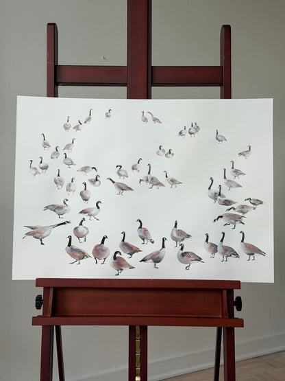 Geese of the North