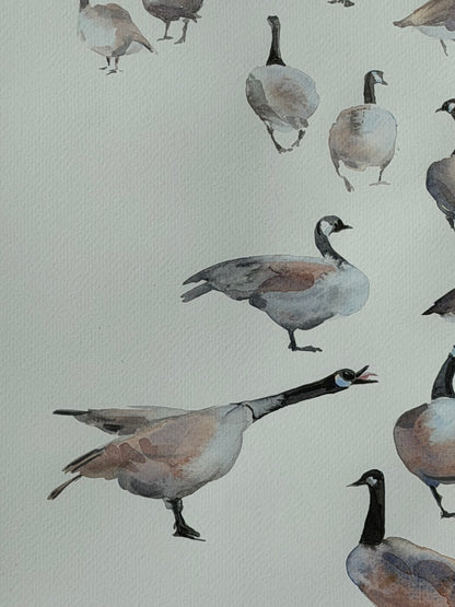 Geese of the North