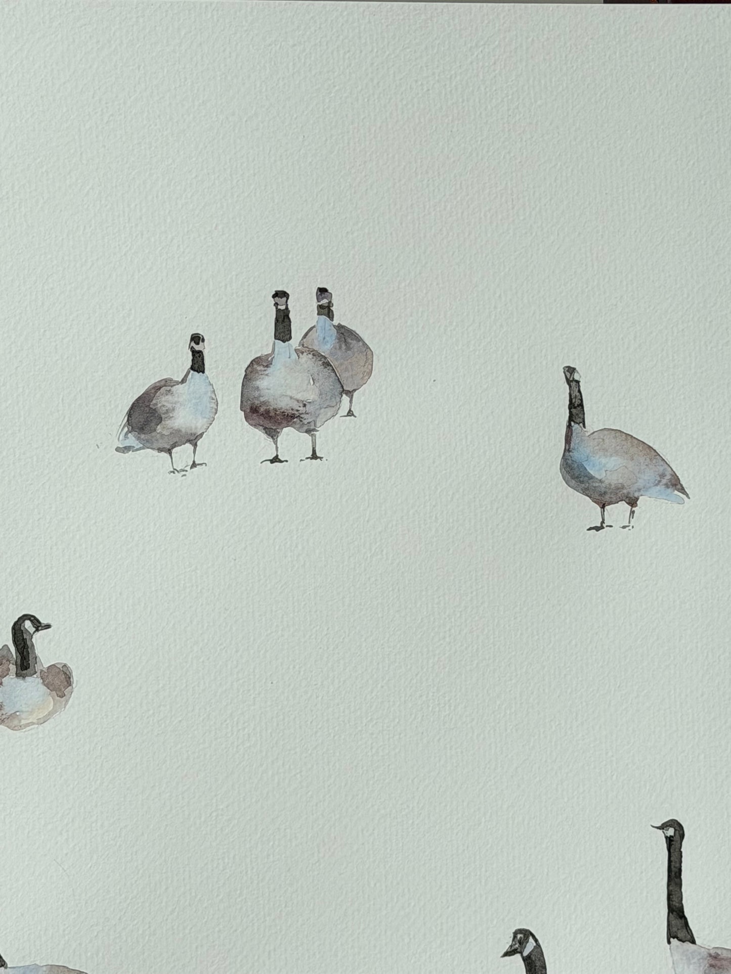 Geese of the North