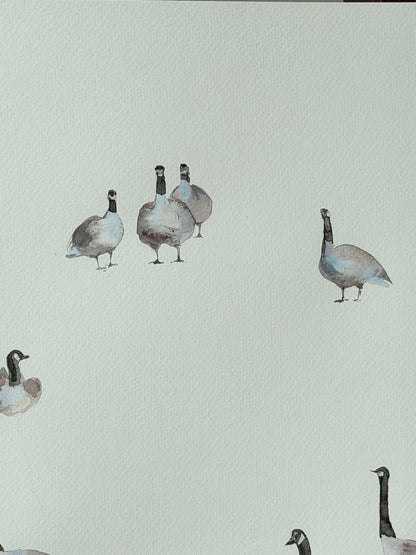 Geese of the North