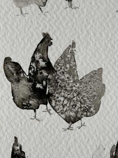 Between Black and White. Chickens