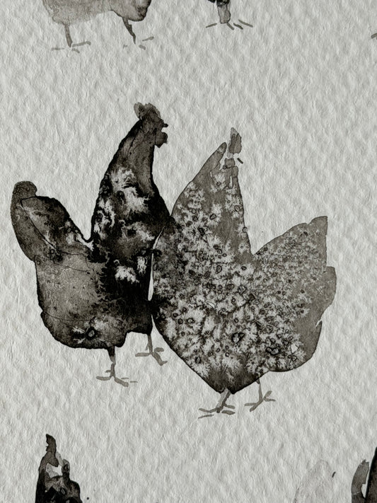 Between Black and White. Chickens