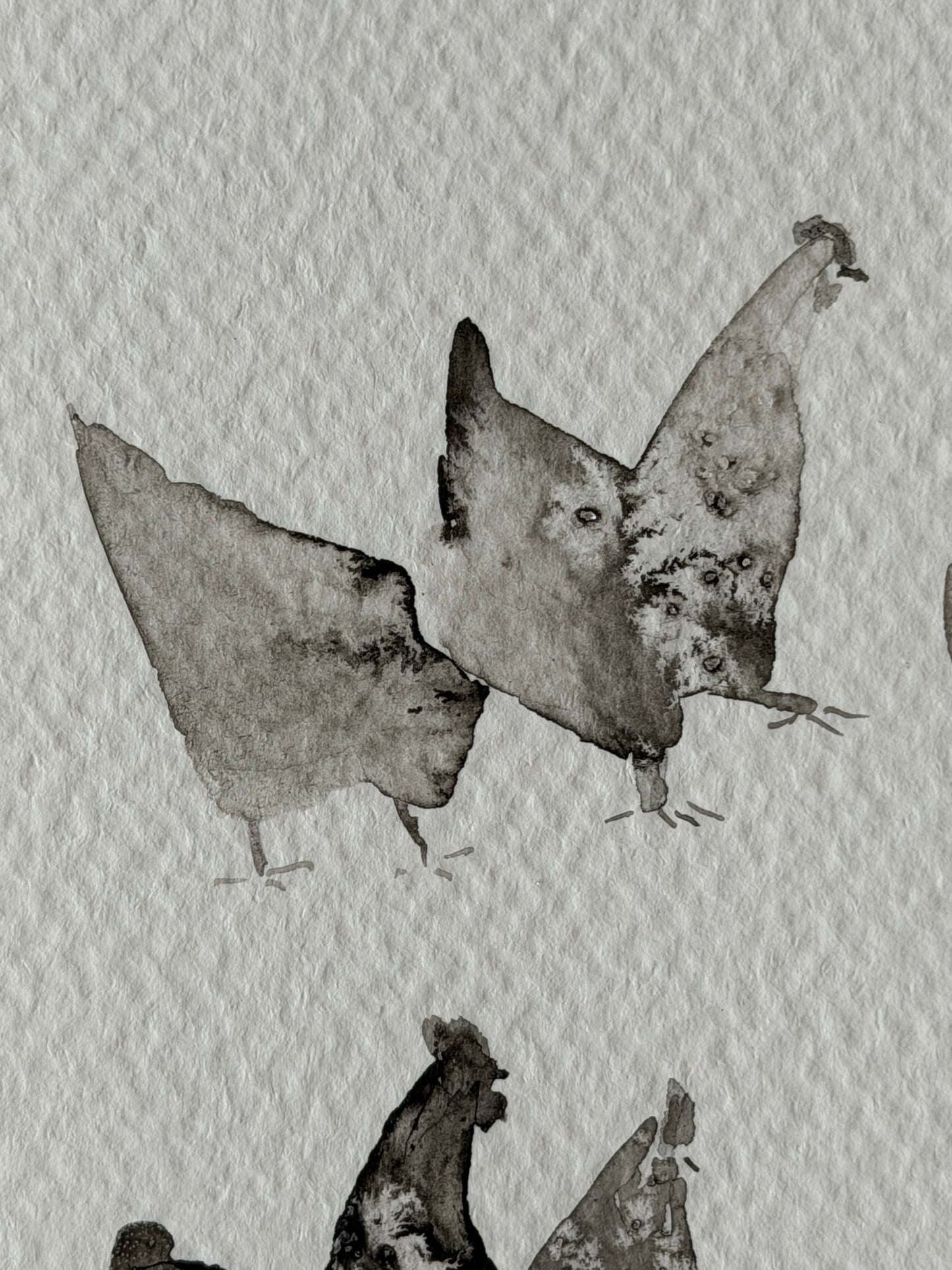 Between Black and White. Chickens