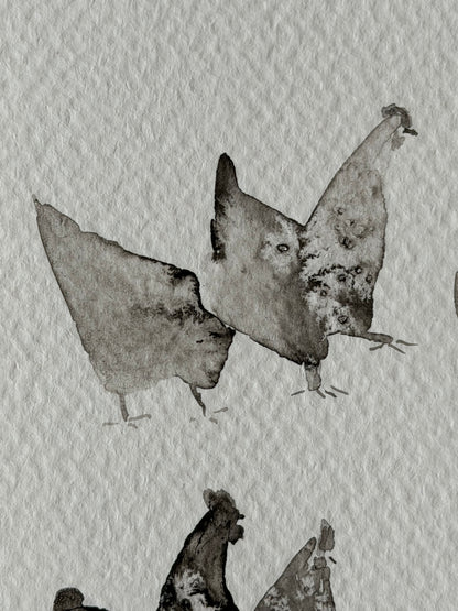 Between Black and White. Chickens