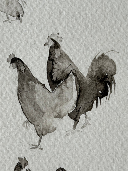Between Black and White. Chickens