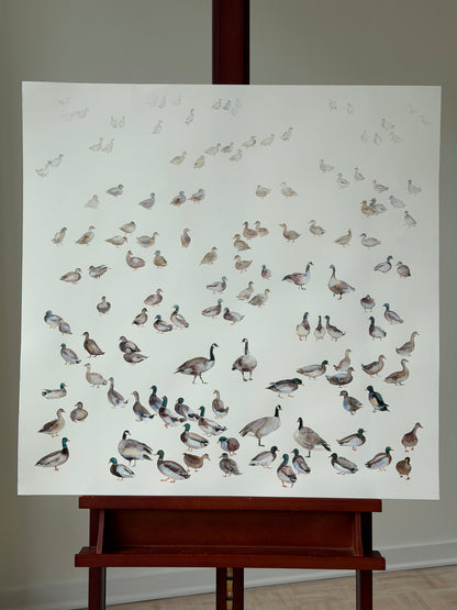 Routes Without Borders (Geese & Ducks)