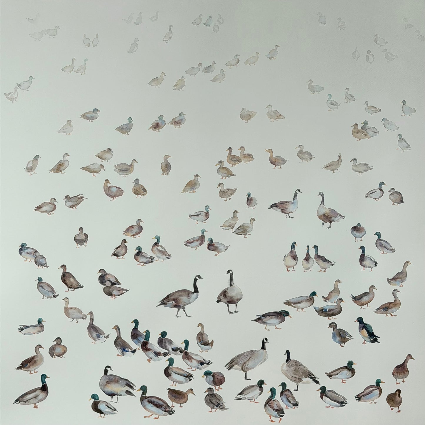 Routes Without Borders (Geese & Ducks)