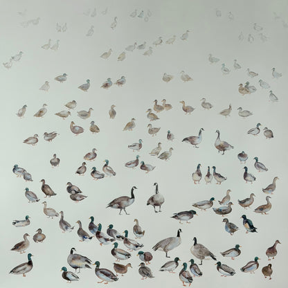 Routes Without Borders (Geese & Ducks)