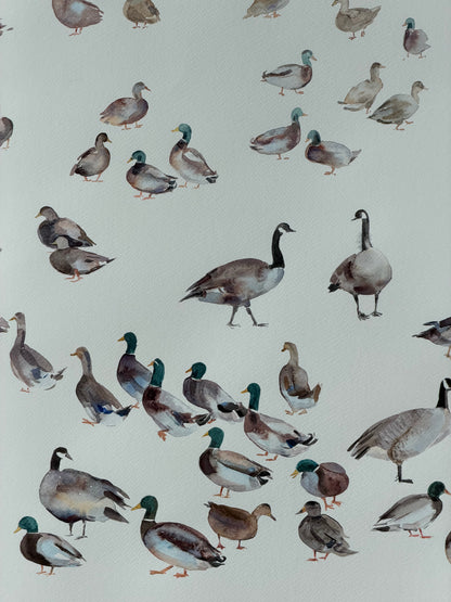 Routes Without Borders (Geese & Ducks)