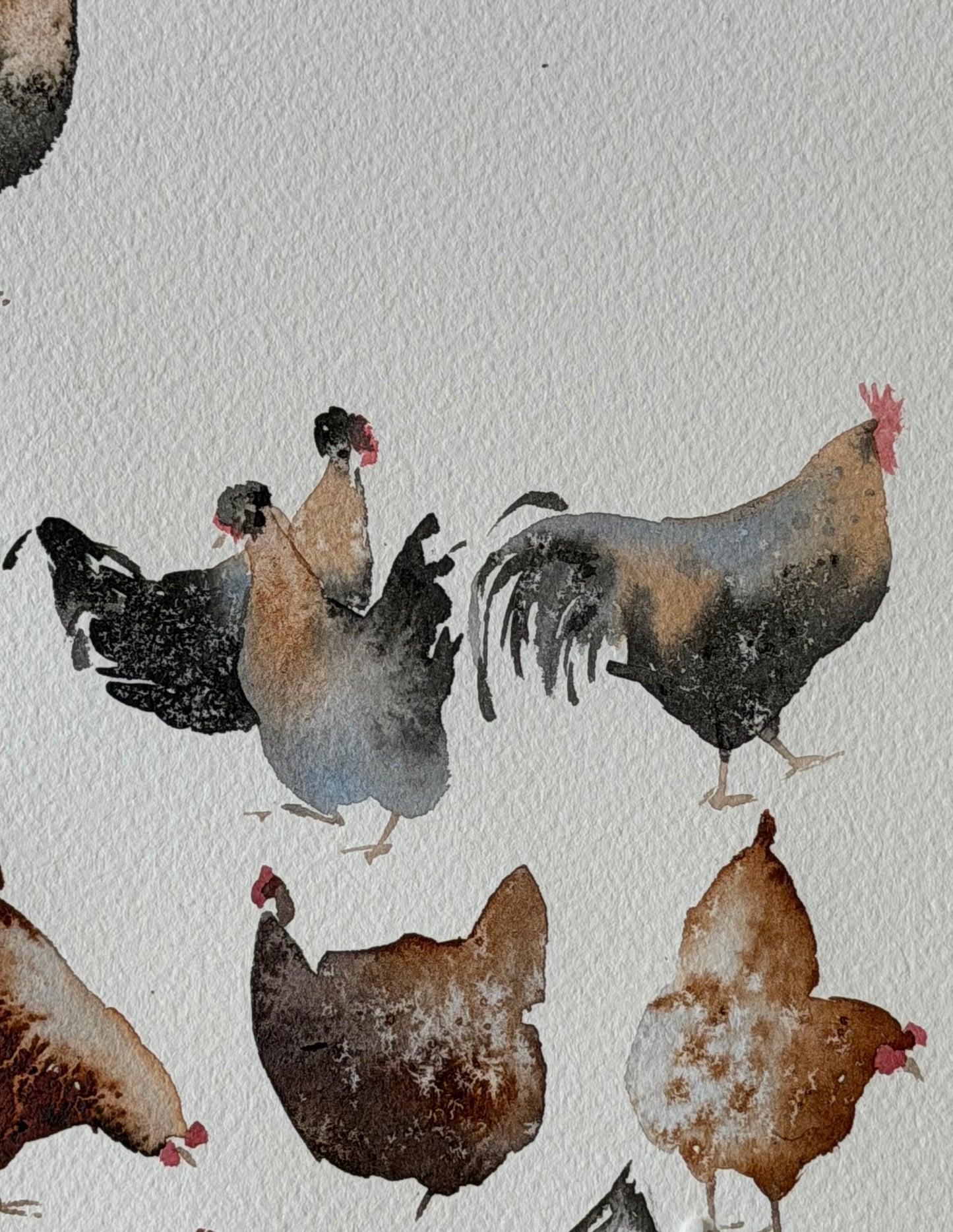 Too Many in the Flock