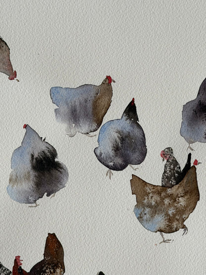 Too Many in the Flock