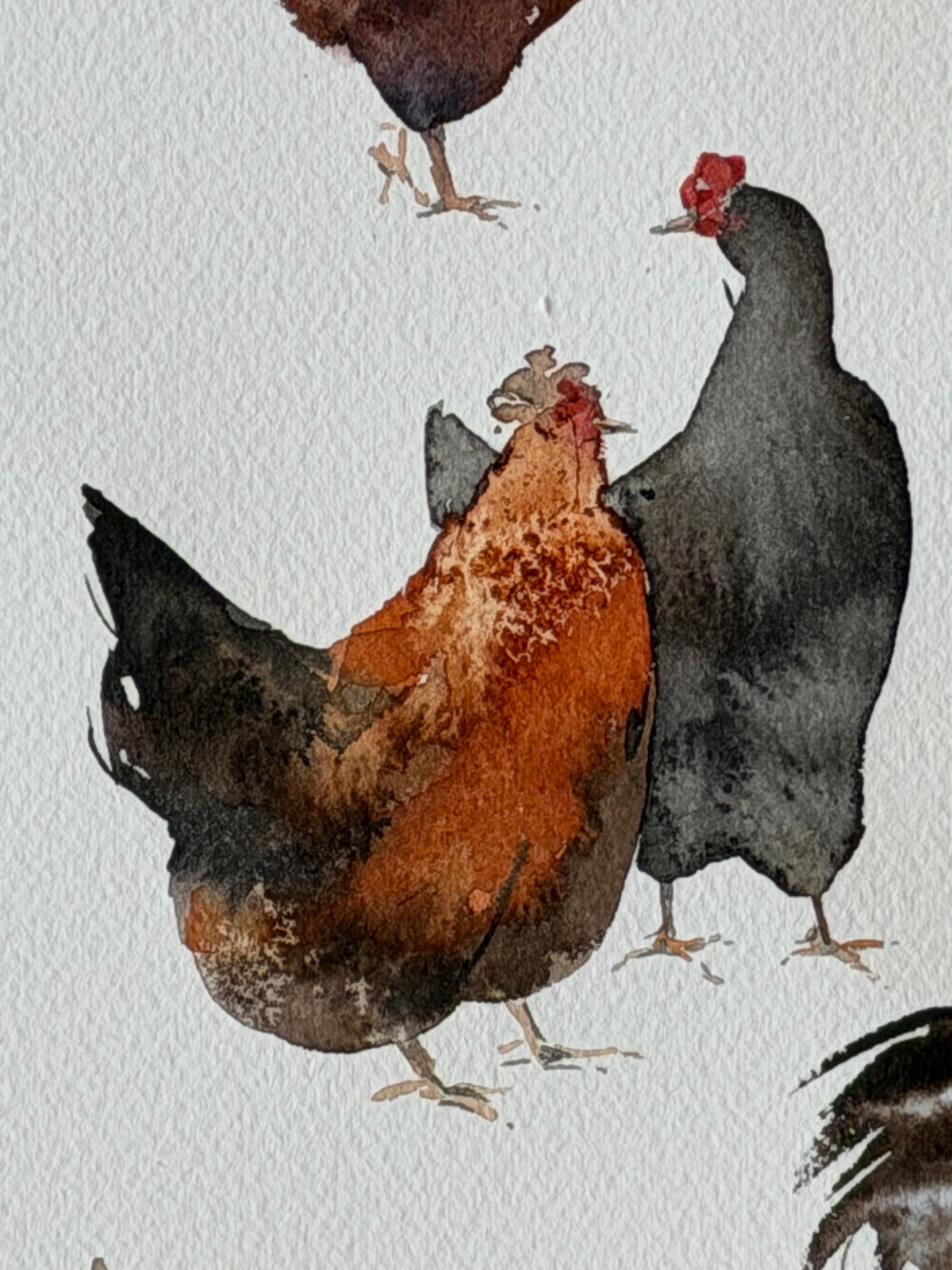 Too Many in the Flock