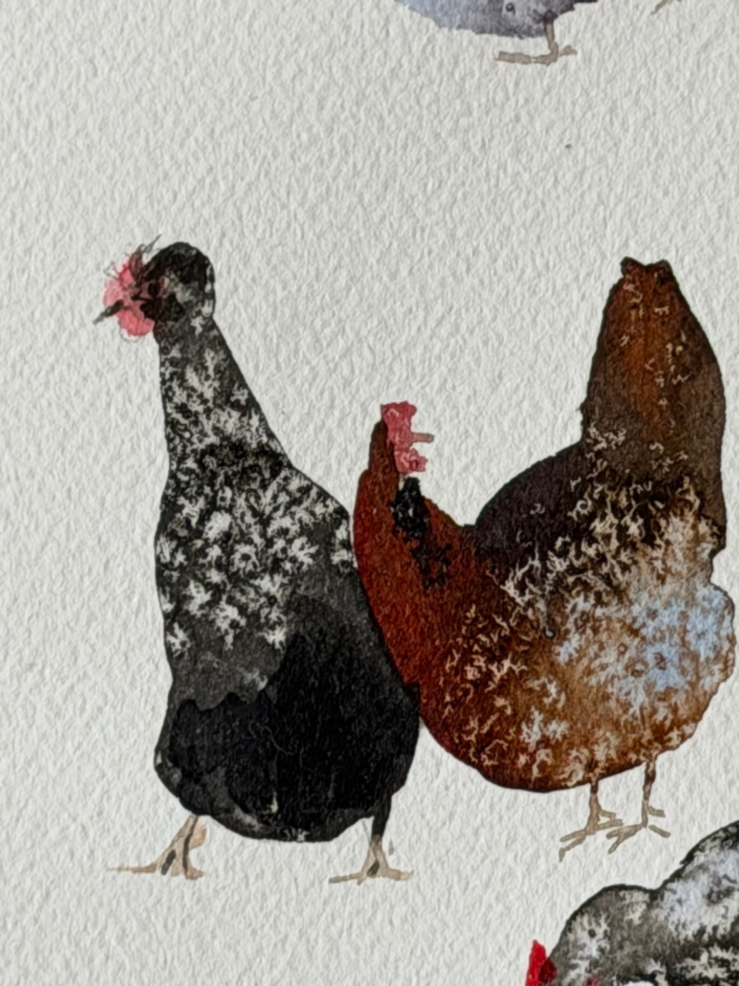Too Many in the Flock