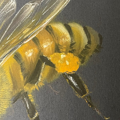 Honeybee on Black