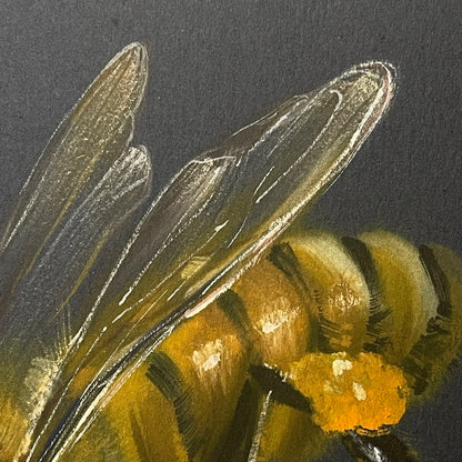 Honeybee on Black