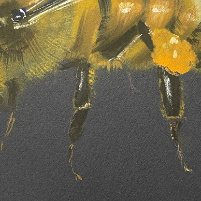 Honeybee on Black
