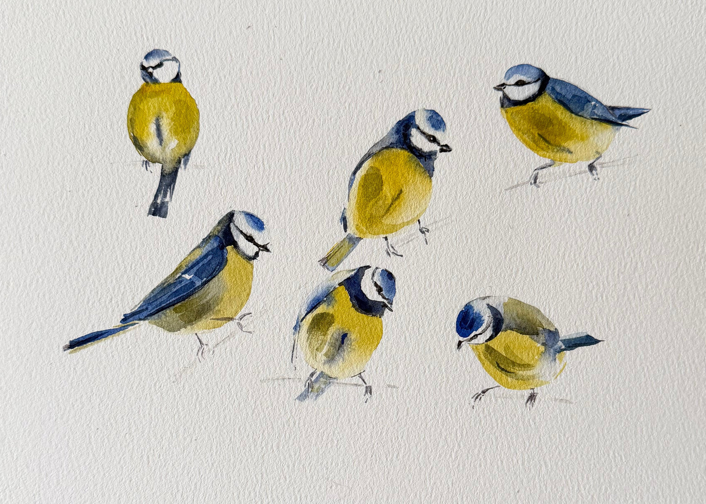 Six in Blue and Yellow
