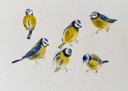 Six in Blue and Yellow
