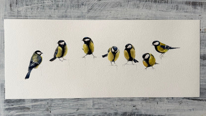 Parus Major (Seven)
