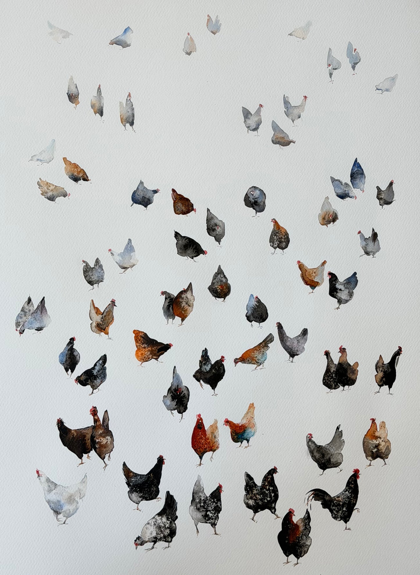 Yard Stories (chickens)