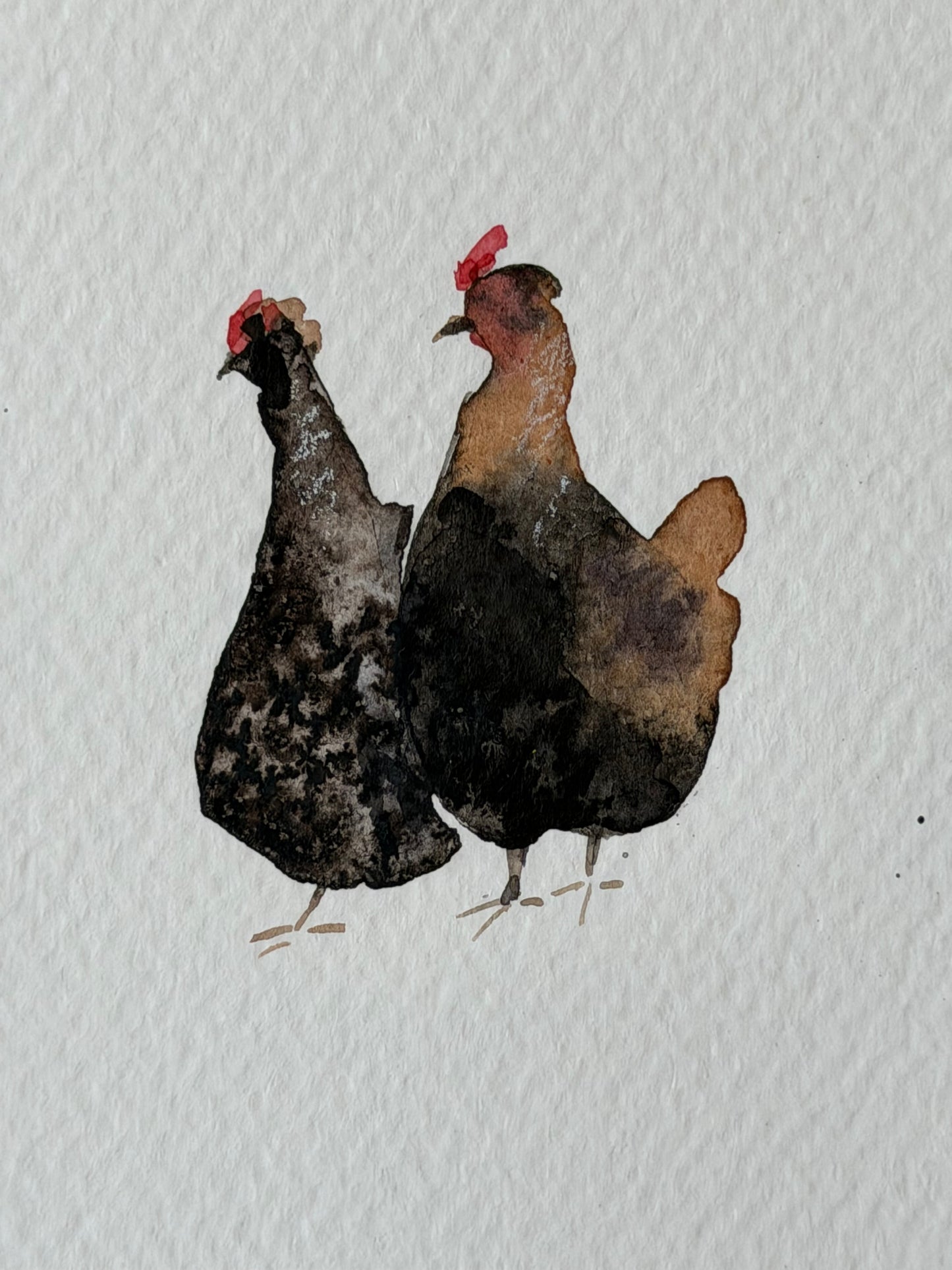 Yard Stories (chickens)