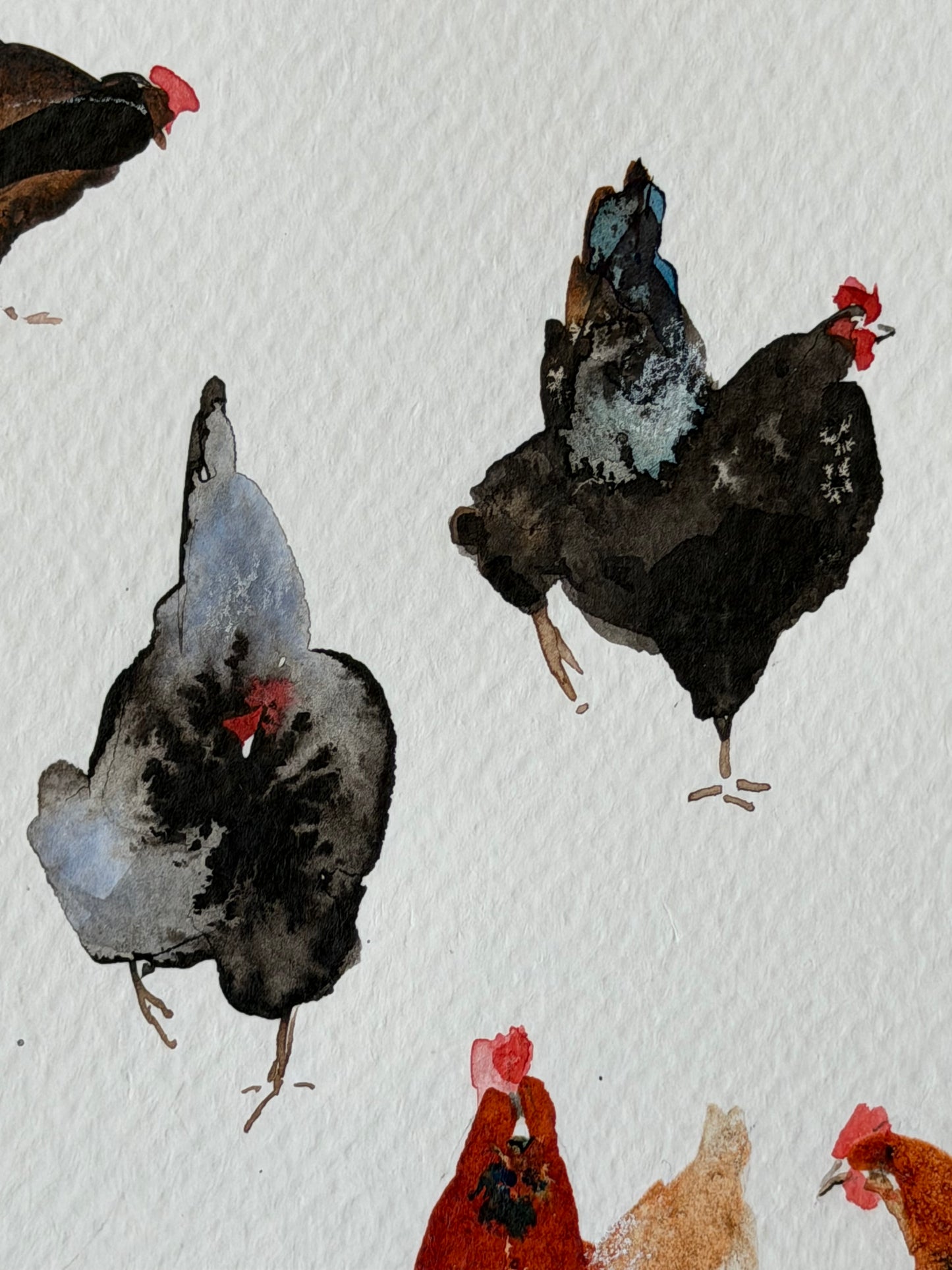Yard Stories (chickens)