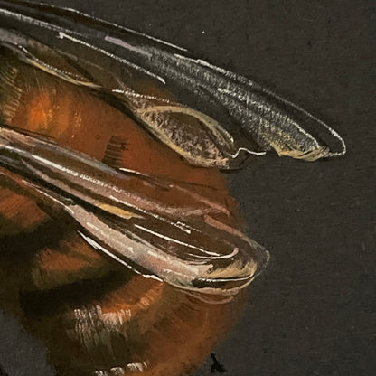 Flight of the Tawny Mining Bee