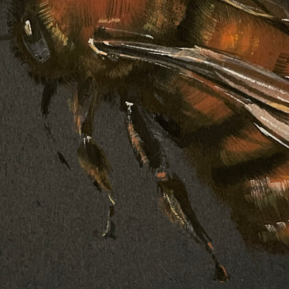 Flight of the Tawny Mining Bee