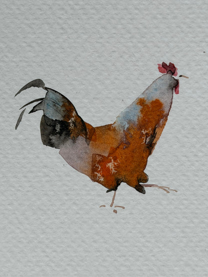 Chickens — The 62