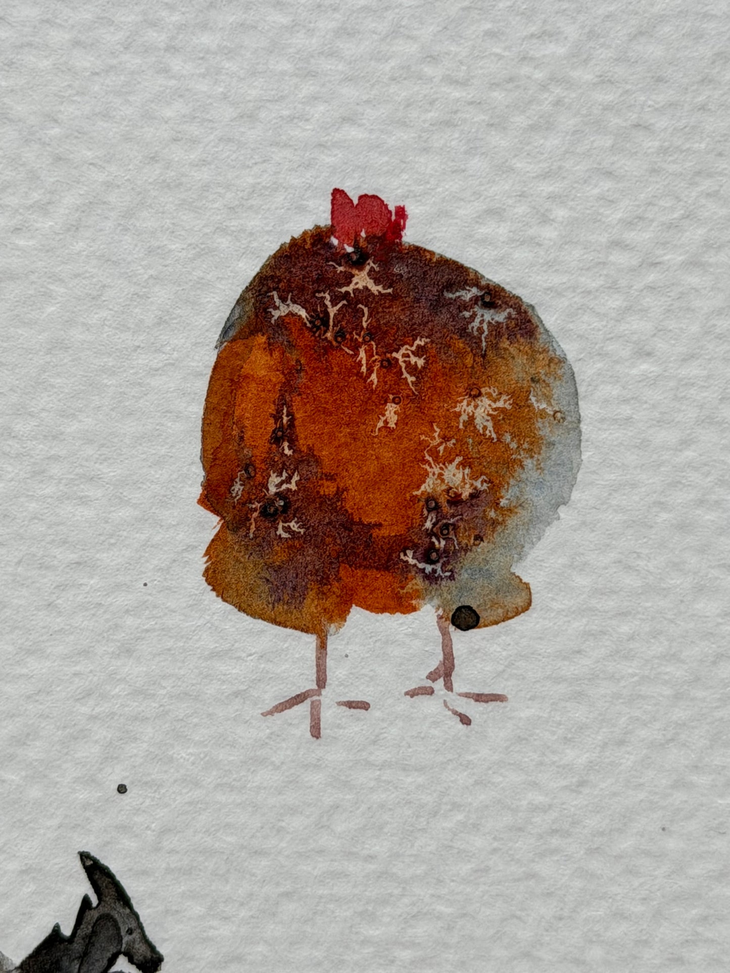 Chickens — The 62