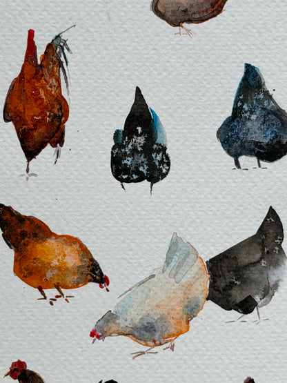 Chickens — The 62