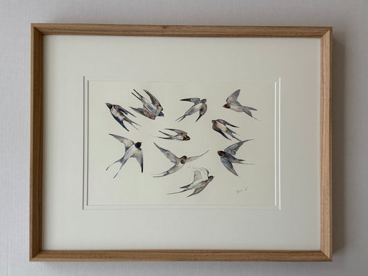 Swallows