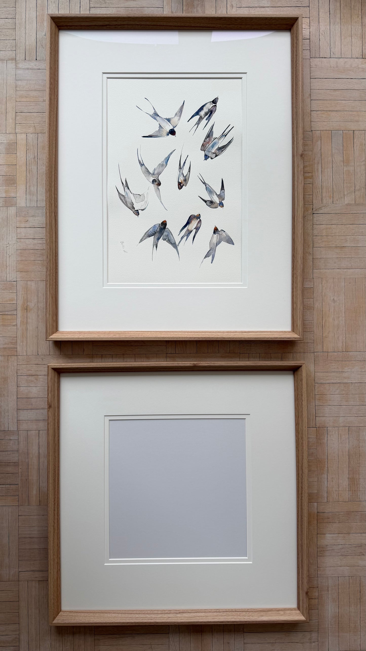 Swallows