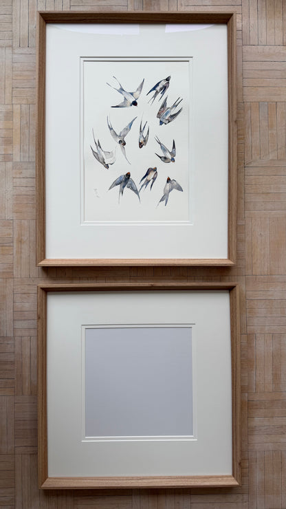 Swallows