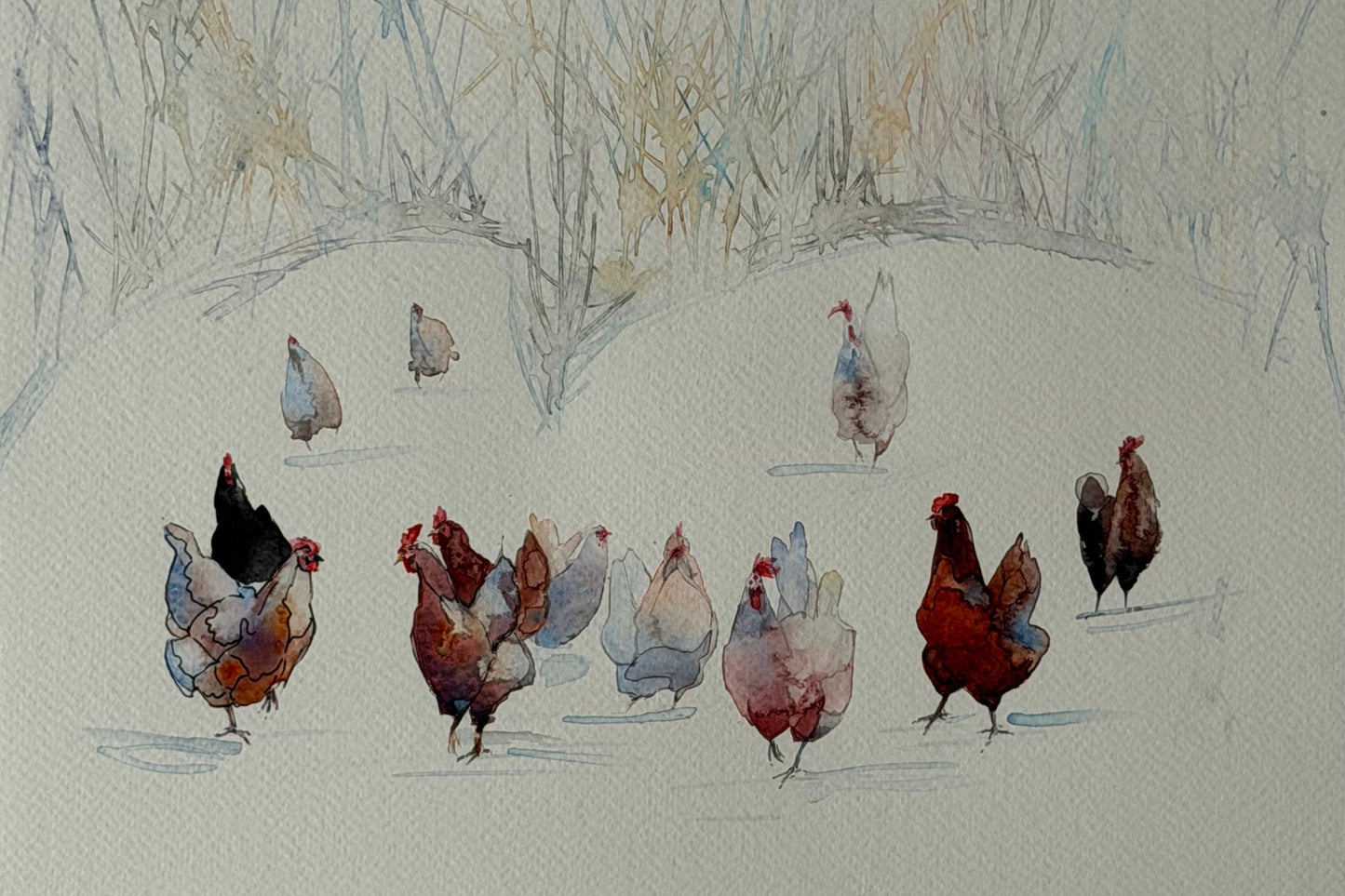 Snowfield Chickens