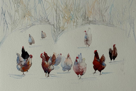 Snowfield Chickens
