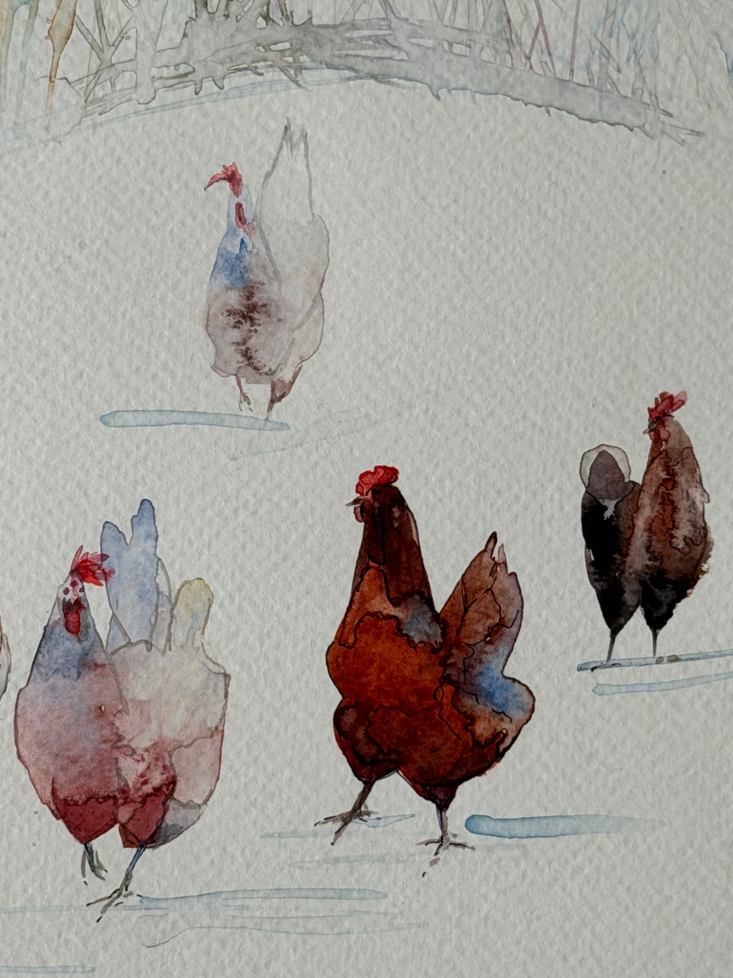 Snowfield Chickens