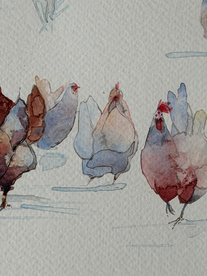 Snowfield Chickens