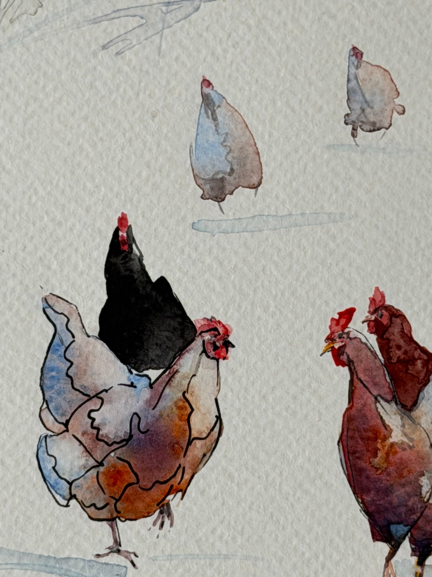 Snowfield Chickens